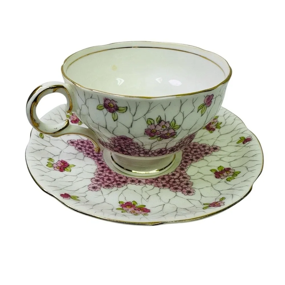 Adderley Tea Cup and Saucer Pink Chintz Painted Blossoms‎ Vintage Read